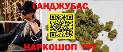 гидра Новозыбков