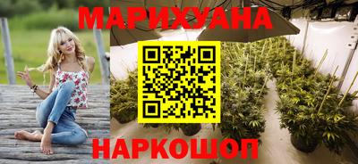 гидра Новозыбков