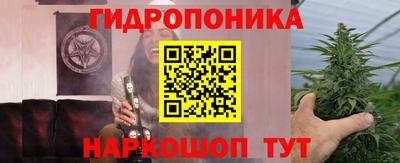 гидра Новозыбков