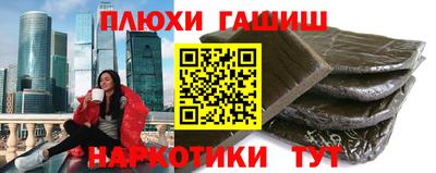 гидра Новозыбков